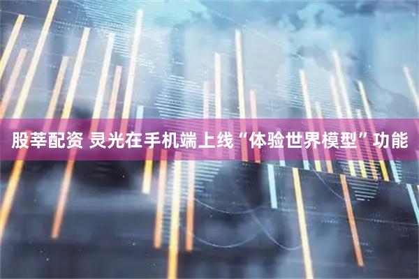 股莘配资 灵光在手机端上线“体验世界模型”功能